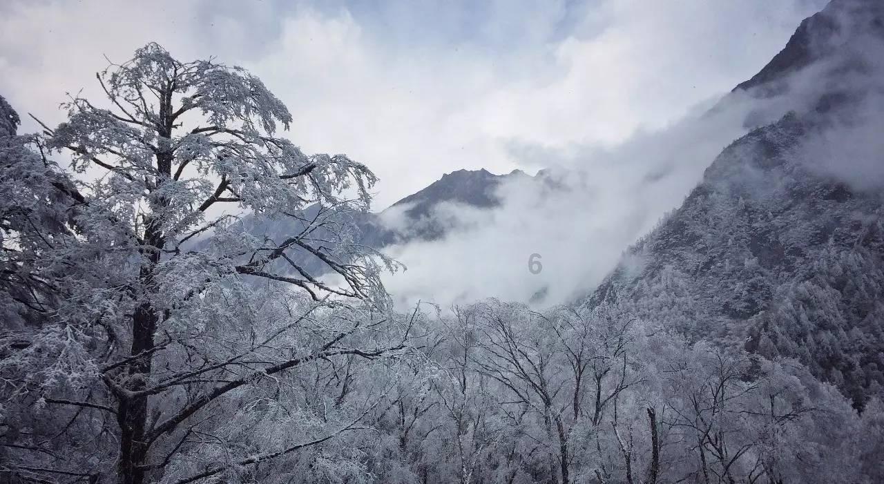 爱丽丝和闺蜜